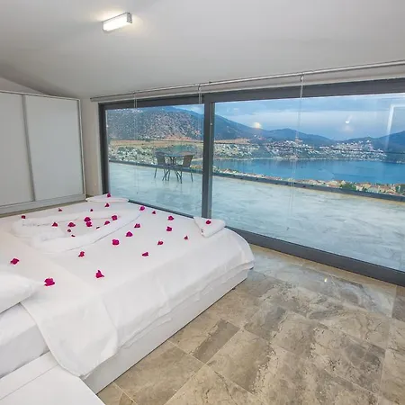 Tigra Vila