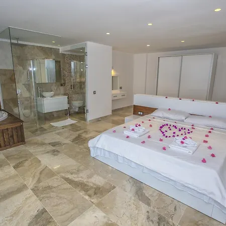 Tigra Vila *